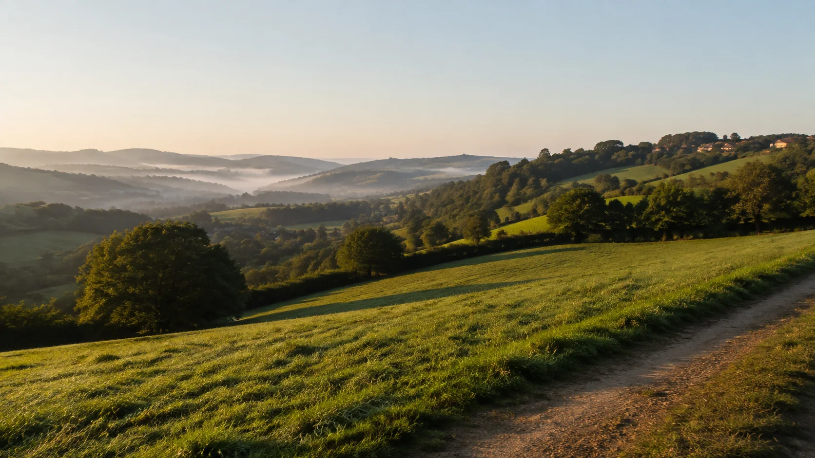 Prés, chemins et collines boisées dans la lumière du Sud-Ouest lyonnais